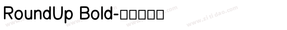 RoundUp Bold字体转换